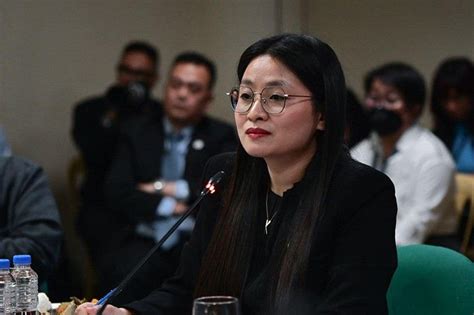 Hontiveros: Mystery of two Alice Guos, two Shiela Guos alarming.